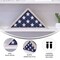 Flash Furniture Whitewashed Display Case for 9.5 x 5 Veteran Flag HFMHD-GDIS-CRE8-802315-GG - alternate 9